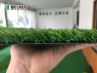 Rumput Buatan Untuk Teras