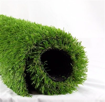 Rumput Karpet Taman Alam Luar Ruangan